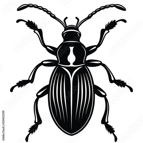 silhouette of weevil with long snout and small body