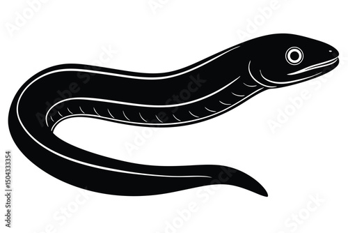 fish on a white background