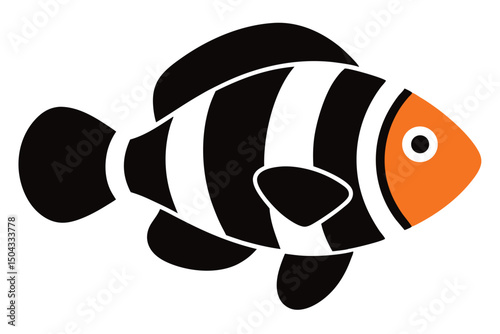 fish on a white background