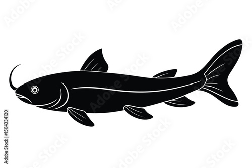 fish on a white background
