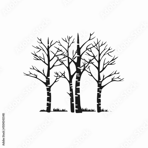 Black and white trees forest woodland nature birch tree silhouette vector illustration design art graphic