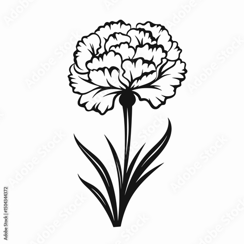 Black white flower floral botanical petal plant nature garden blossom bloom drawing vector art design silhouette