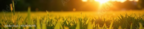 Golden hour sun rays, long shadows on grass, ample space , long shadows, landscape, glow