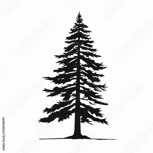 Isolated evergreen pine tree silhouette vector illustration christmas tree forest nature design graphic 