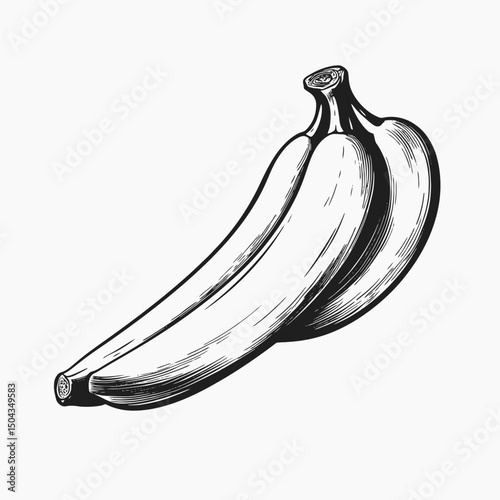 Banana fruit healthy food yellow tropical sweet dessert vitamins potassium nutrition delicious organic sketch