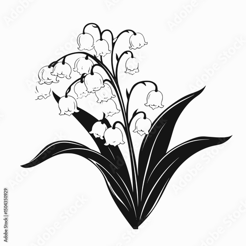 Lily of the valley floral design flower illustration botanical spring may bells plant nature garden bloom