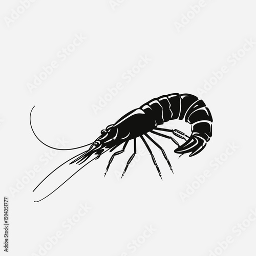 Shrimp prawn seafood crustacean marine animal aquatic ocean sea food gourmet delicacy delicious cuisine black art