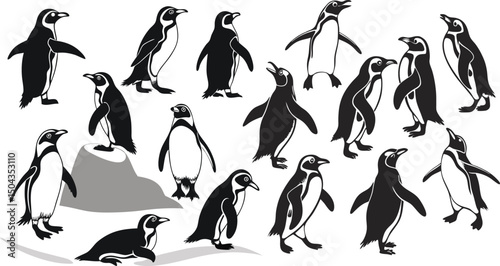 a silhouette of a penguin, standing against a simple background. The penguin's form is black and smooth, with its features and structure clearly visible vector illustration