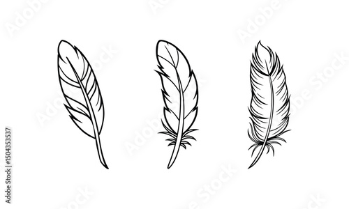 feather vectors