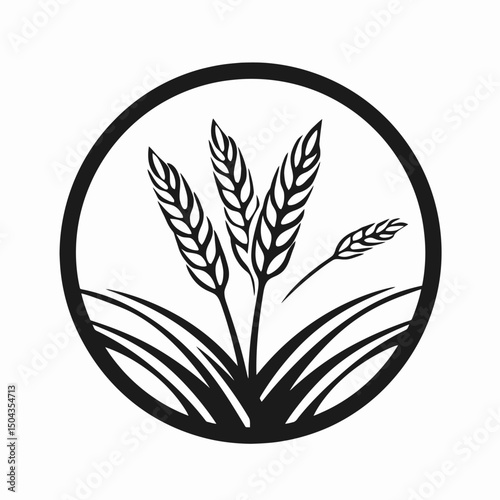 Wheat grain barley rye agriculture harvest farm field crop food organic nature plant seed bread flour 