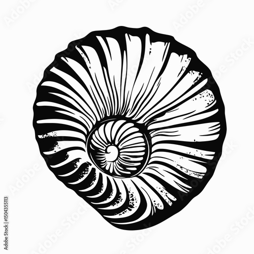 Black and white ammonite fossil illustration graphic shell spiral nautilus sea life geology paleontology art