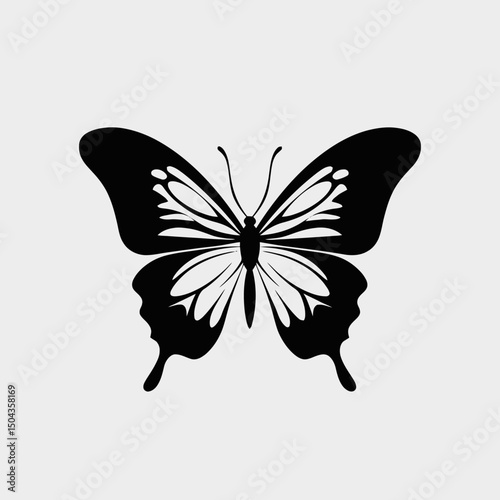 Butterfly vector black and white illustration insect wings nature design pattern graphic art drawing beauty fly