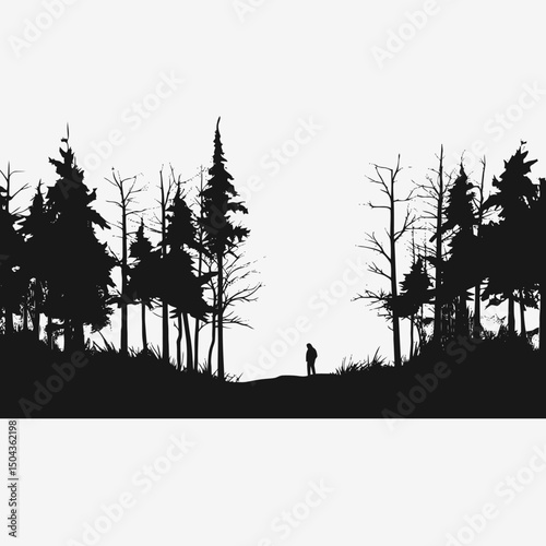 Silhouette forest trees landscape nature woods adventure travel outdoor scenic dark misty person explore