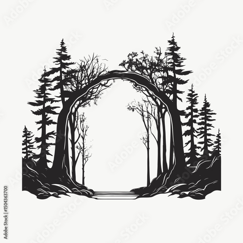 Forest trees nature landscape woodland wilderness scenery silhouette outdoors tree trunks branches foliage path