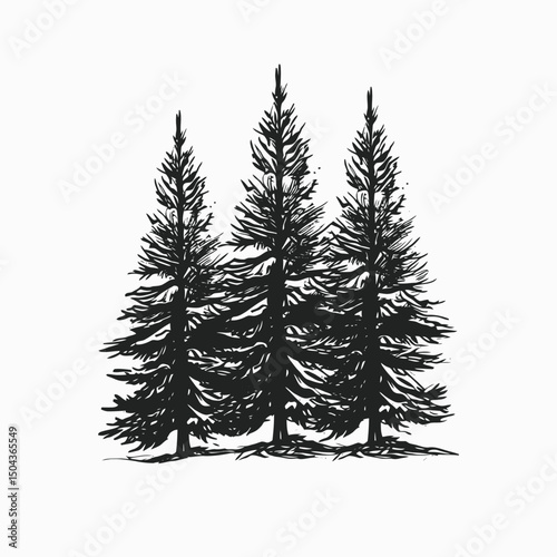 Three pine trees forest drawing black and white monochrome illustration nature landscape evergreen woods outdoor art silhouette