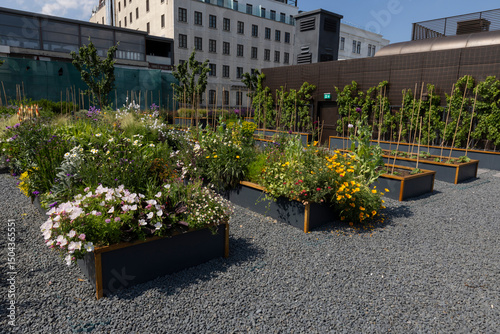 Organic Agriculture, flowers are grown on the building terrace