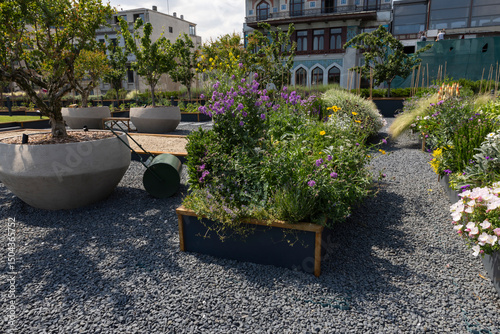 Organic Agriculture, flowers are grown on the building terrace