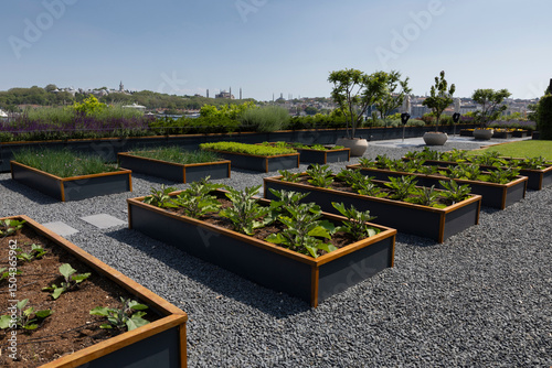 Organic Agriculture on the Building Terrace, vegetables are grown in large pots