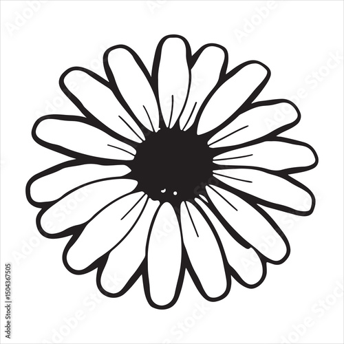 Oxeye Daisy Flower – Classic Wildflower Bloom for Nature, Summer, and Botanical Concepts