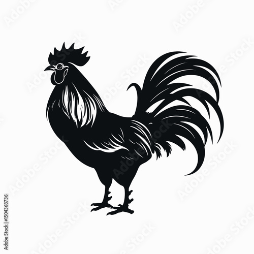 Black rooster cock chicken fowl poultry farm animal bird crest tail feathers vector illustration design art silhouette