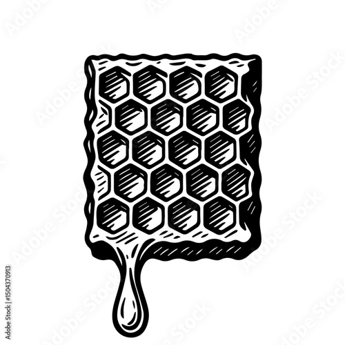 Vector set of honey elements. Hand drawn honeycomb. Ink vector sketch.