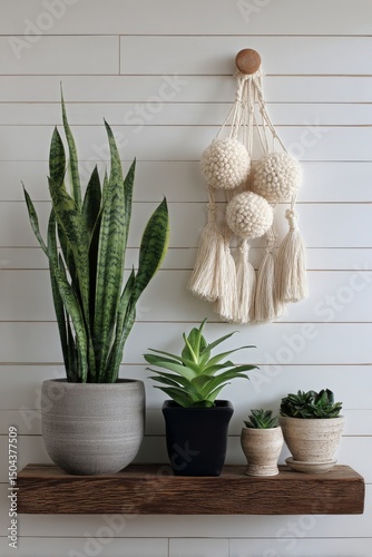 Stylish Indoor Plants and Decorative Elements on a Wooden Shelf in a Modern L...