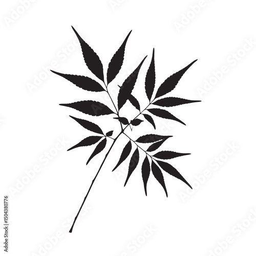 Green cannabis leaf vector illustration of a natural plant or flower with intricate flora design and isolated herbal details