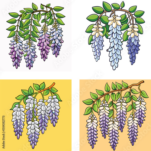 collection of grapes
