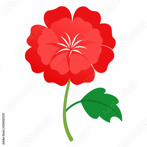 red flower isolated on white