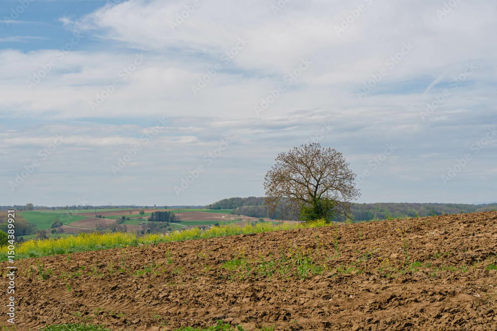 Obraz premium Plowed farmland with brown soil and a blue sunny sky