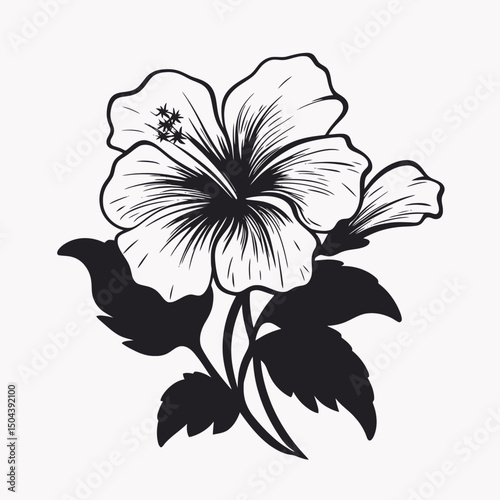 Hibiscus flower floral illustration botanical drawing nature plant blossom bloom petal tropic design art  silhouette