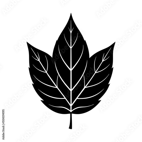 Simple graphic of a three lobed leaf silhouette