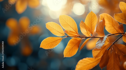 Vibrant Orange Berries Among Golden Autumn Leaves in a Forest Setting