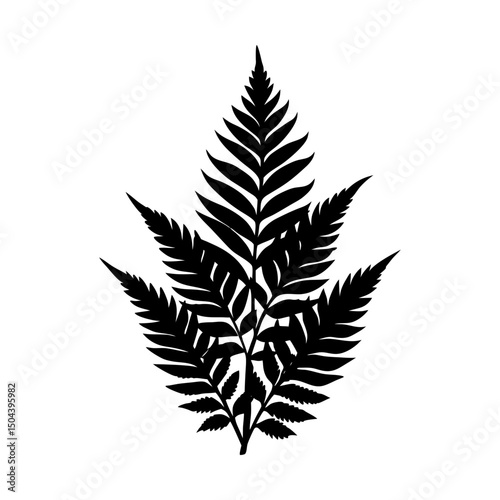 Detailed silhouette of a fern frond on white field