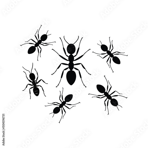 silhouettes of ants in different poses vector  isolated on white background