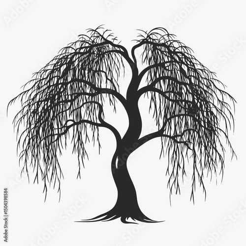 Weeping willow tree silhouette black and white nature art print botanical illustration isolated design element