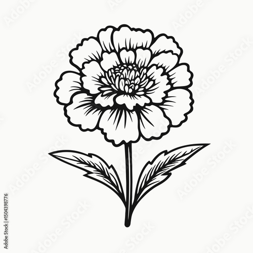 Floral flower blossom bloom botanical petal plant nature drawing outline illustration design art graphic vector silhouette
