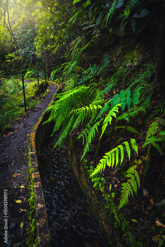 Beautiful levada hiking trail near water canal, Madeira Island, Portugal