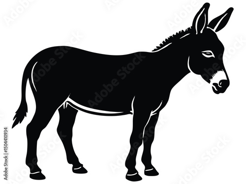 Donkey isolated on white, a farm animal mammal vector illustration