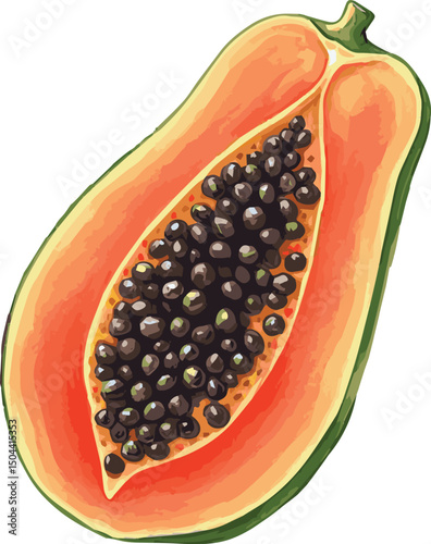 Vector watercolor illustrated papaya
