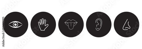 Human sense icons. Human senses vector icon. hand, eye, ear, nose, mouth Human sense icons. Five human senses icons. Vision smell hearing touch taste senses filling, Vector 
illustration.