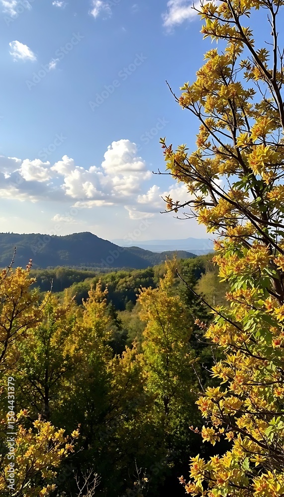Fototapeta premium Mountain Vista Framed by Autumn Leaves Under a Blue Sky with Clouds.