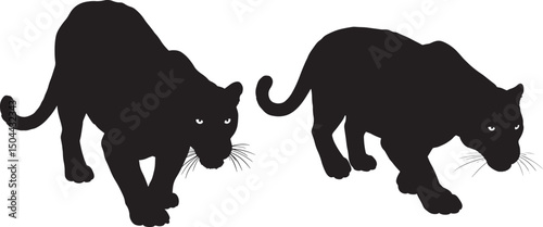 Panther stalking silhouette vector illustration