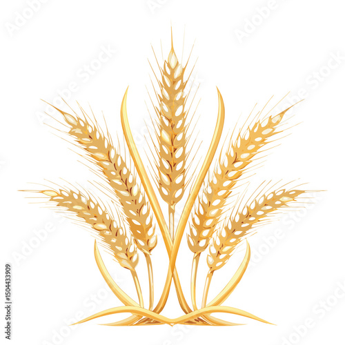 Dry Wheat Ear Isolated on Clean vector White Background