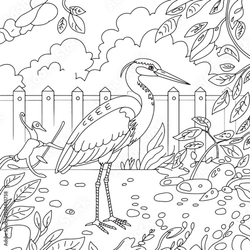 birds nest line art stock photos premium quality