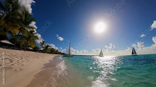 Sailing on a sunny beach with clear waters and palm trees in a tropical paradise