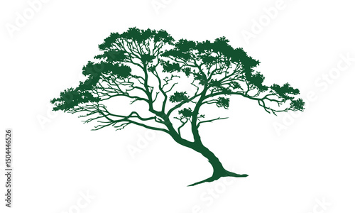 Tree silhouette vector with white background.