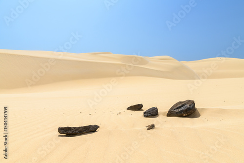 BOA VISTA DESERTO DE VIANA
