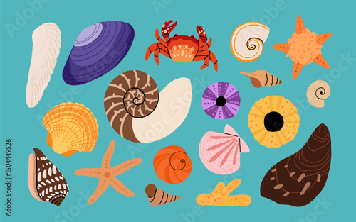 Seashells vector set. Collection of flat, cartoon modern flat icons of molluscs sea shells, starfish, sea urchin, crab, coral. Trendy coral reef under water collection isolated on white