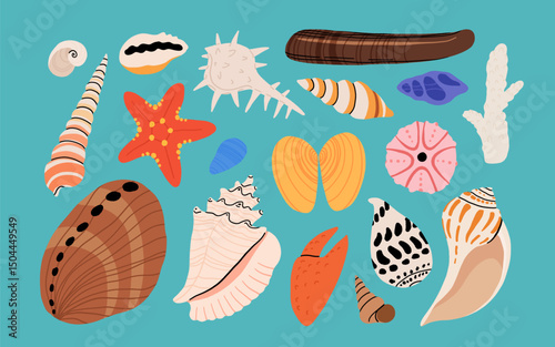 Seashells vector set. Collection of flat, cartoon modern flat icons of molluscs sea shells, starfish, sea urchin, crab, coral. Trendy coral reef under water collection isolated on white